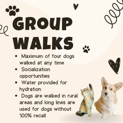 Group Walks