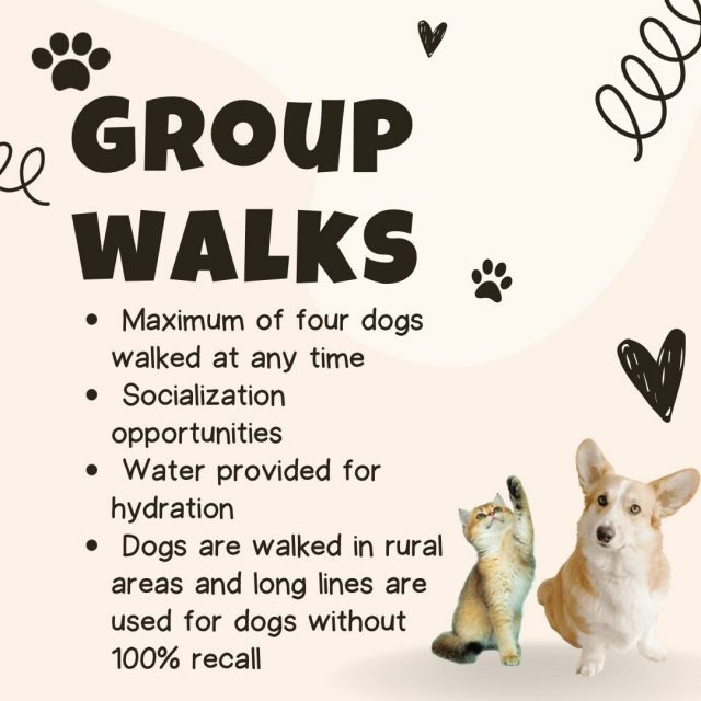 Group Walks