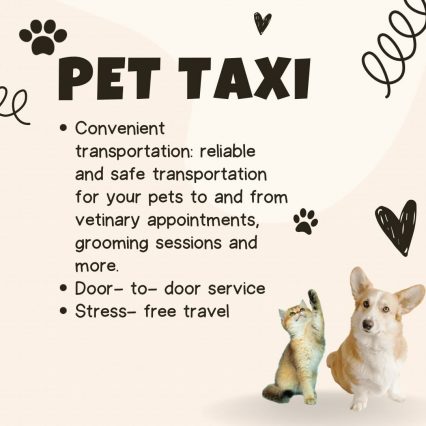 Pet Taxi