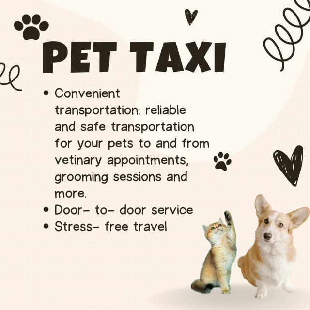 Pet Taxi