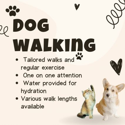 Dog Walking